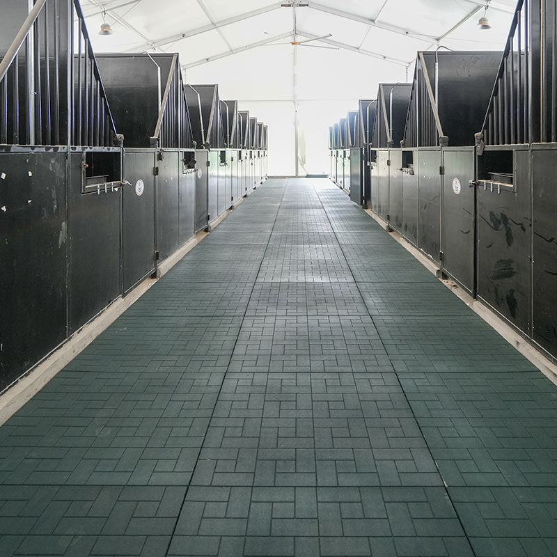 Changzhou Equestrian Centre-Rubber Roll&Horse Stable Rubber Mat
