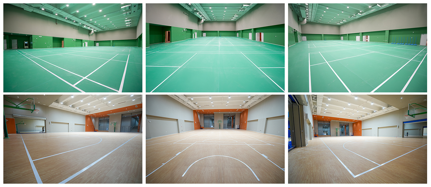 上海徐汇科技实验中学-运动地胶