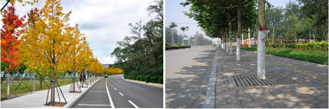 微信图片_20231220145608