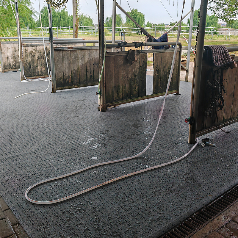 Changzhou Equestrian Center-Washing Horse District Interlocking Flooring