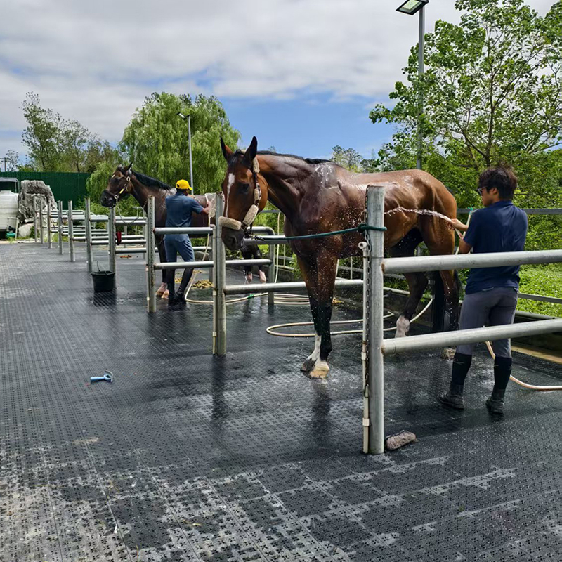 A Shanghai Equestrian Club-Washing Horse District Interlocking Flooring