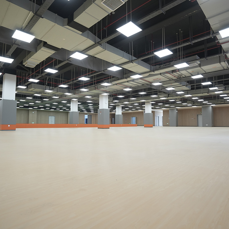 Zhejiang Provincial Public Fitness Center-Synthetic flooring
