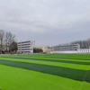 Durable Customized Turf Grass with Included Filling for Outdoor Use