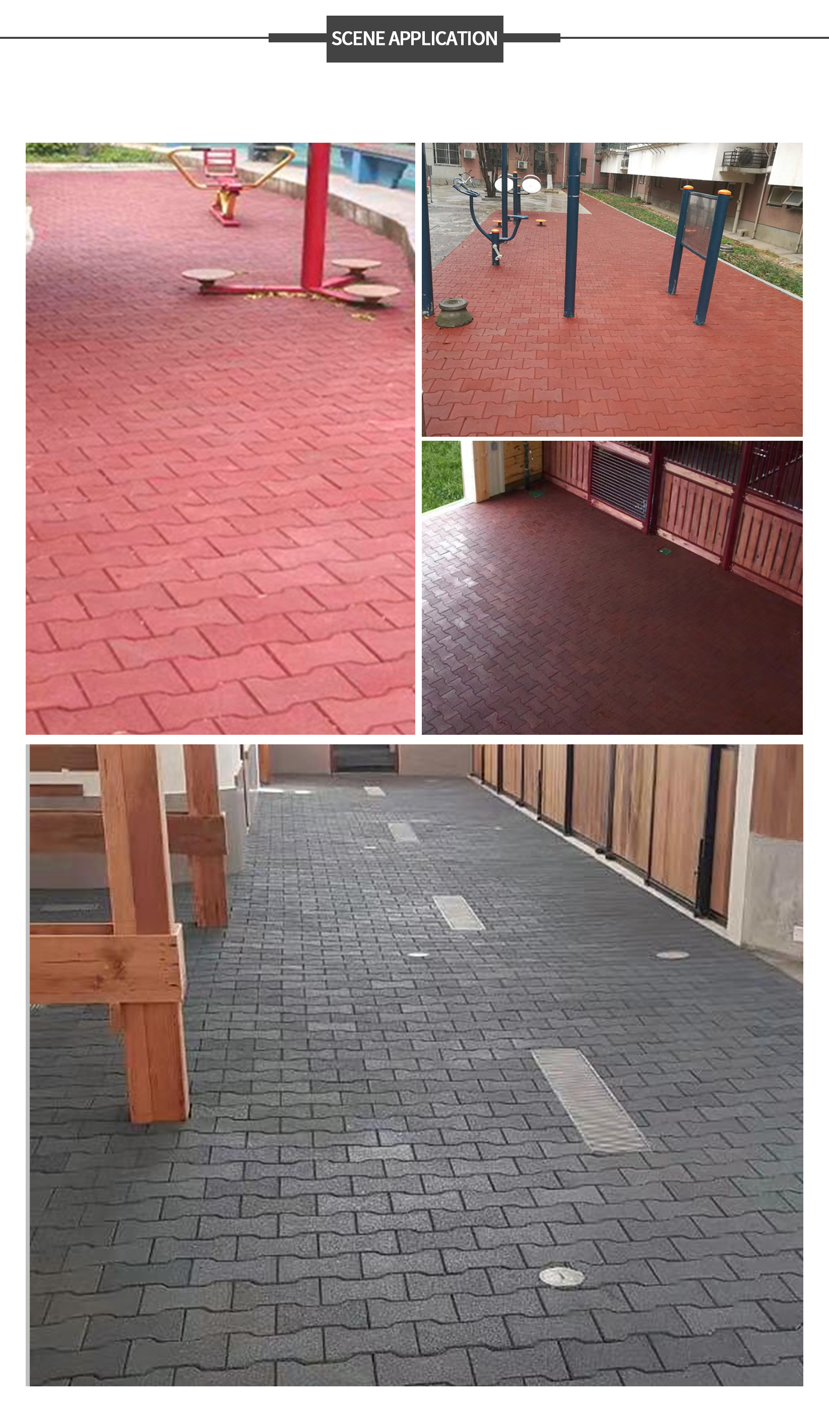 A-英文--骨头砖6