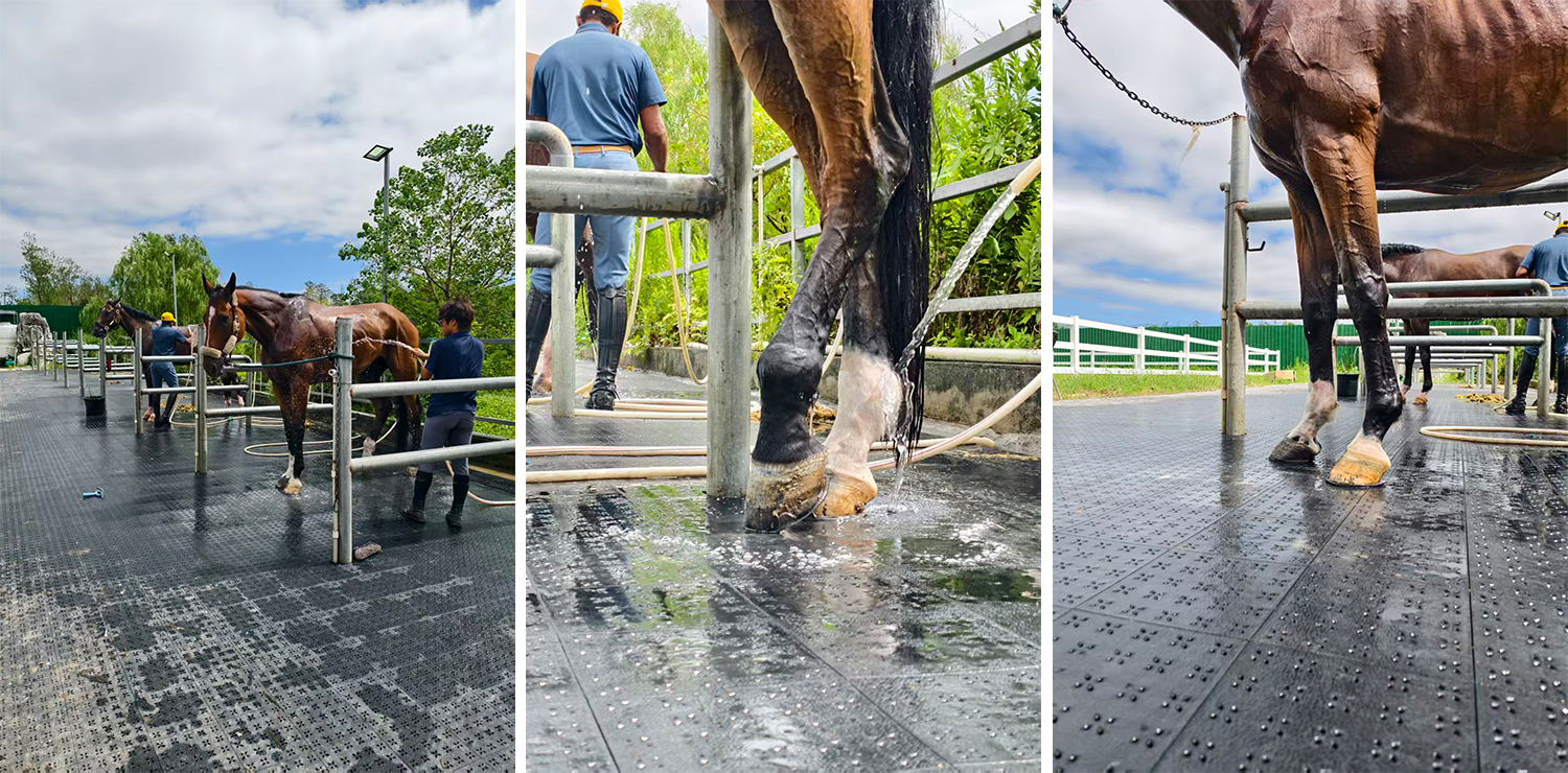 上海冠傲俱乐部