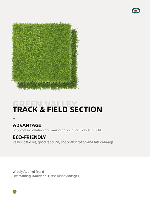 Track & Field Section